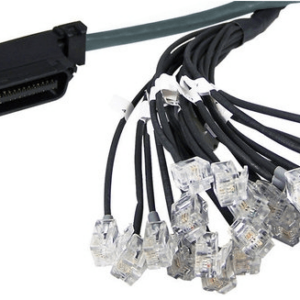 Yeastar Cavo RJ21 - Connettore RJ21 da un lato - immagine 1